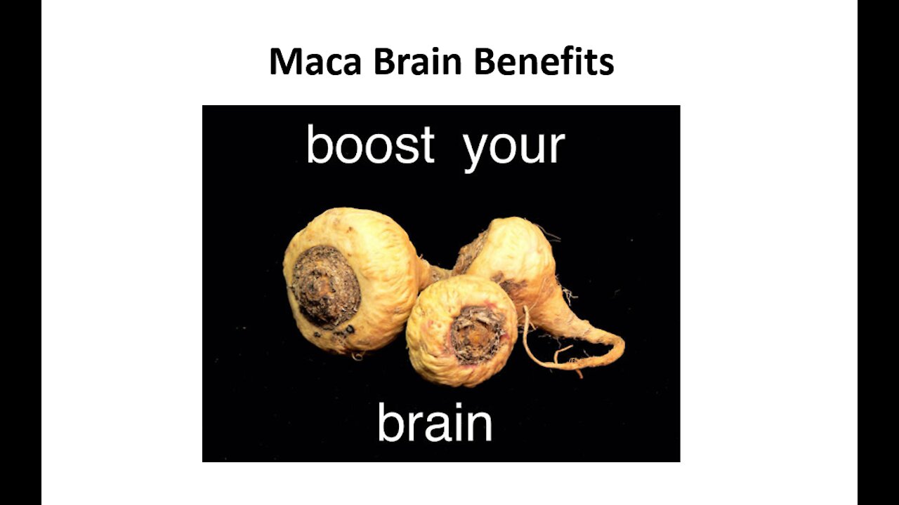 Maca Brain Benefits