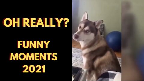 Real Funny Moments 2021