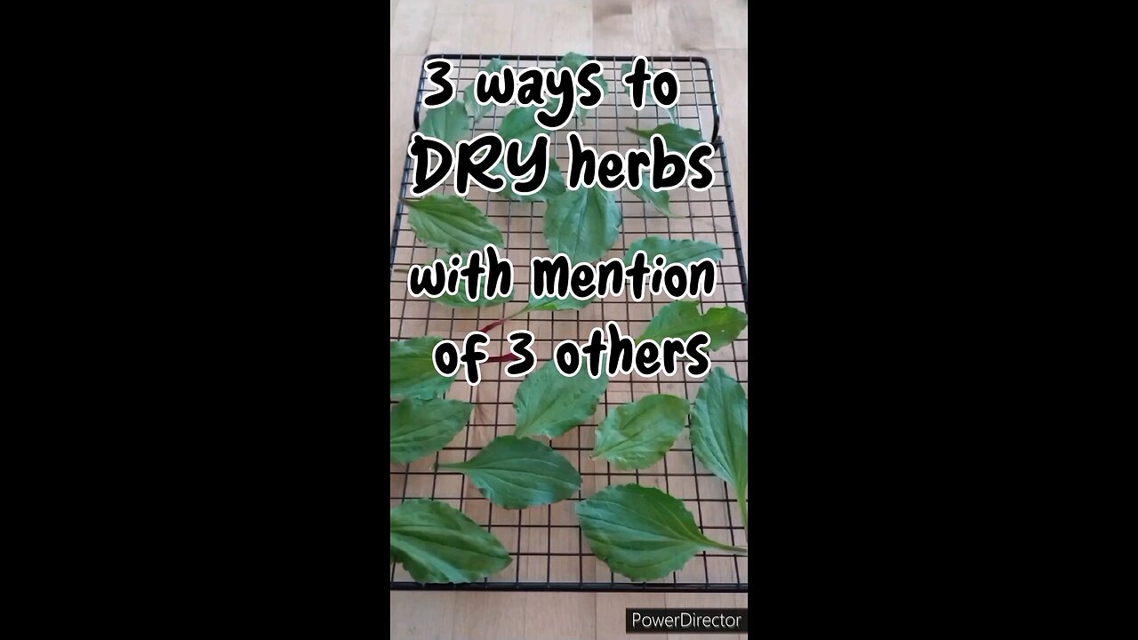 Different Methods of Drying Herbs