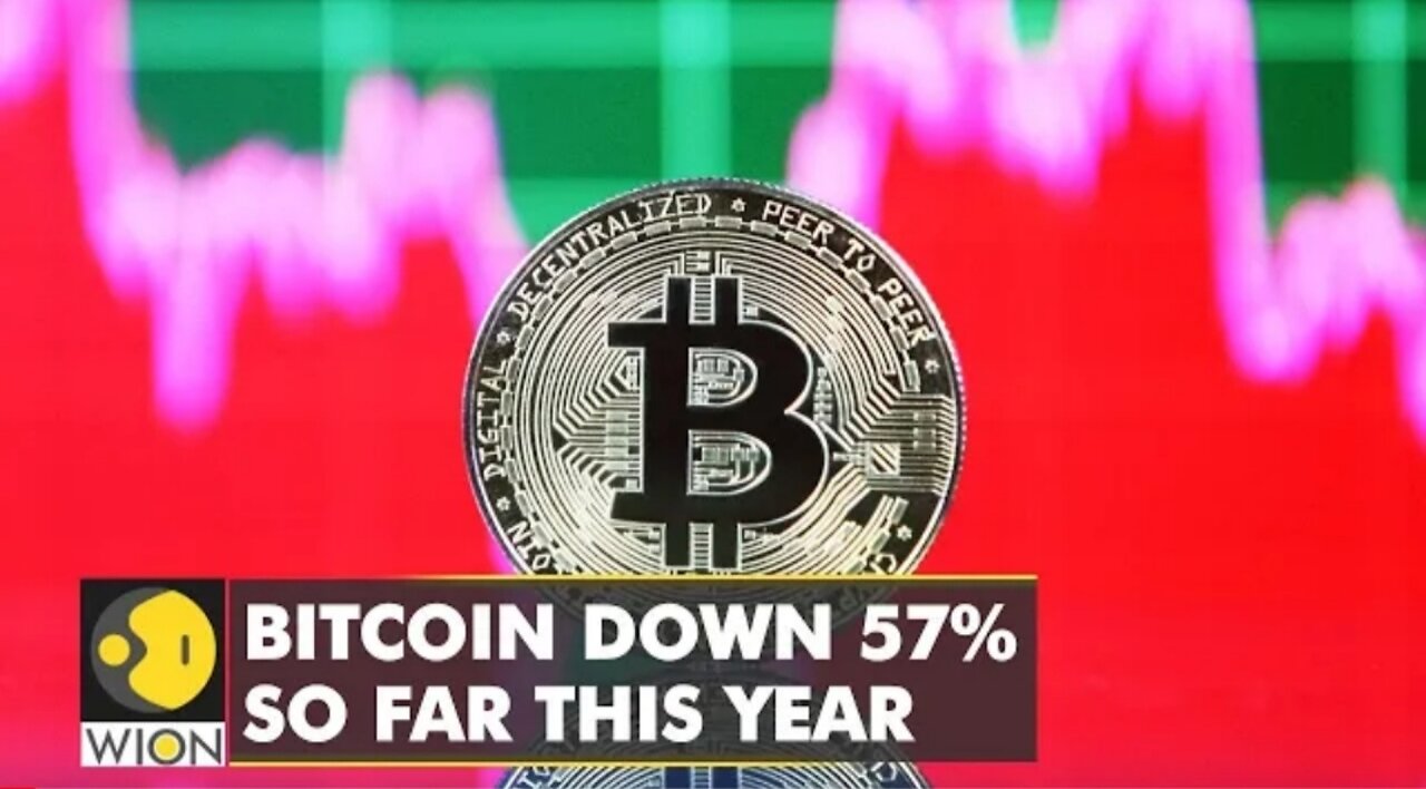 37% fall in Bitcoin value so far this month | Business News | Latest English News | WION