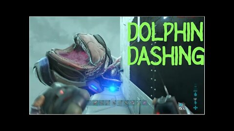 FIRST EVER DOLPHIN DASH S:4 EP:44 small tribes, official, solo raiding