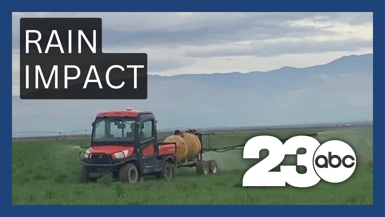 How rain affects the agriculture industry