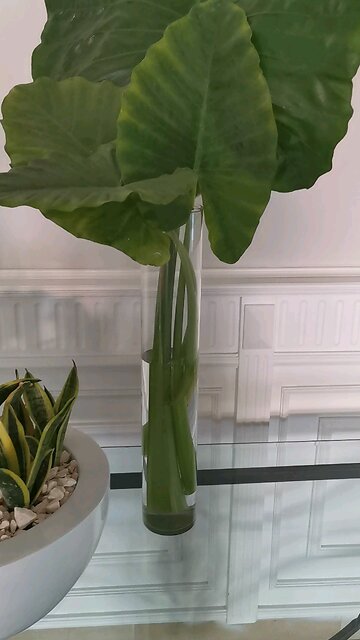 Bahia Principe Hotel