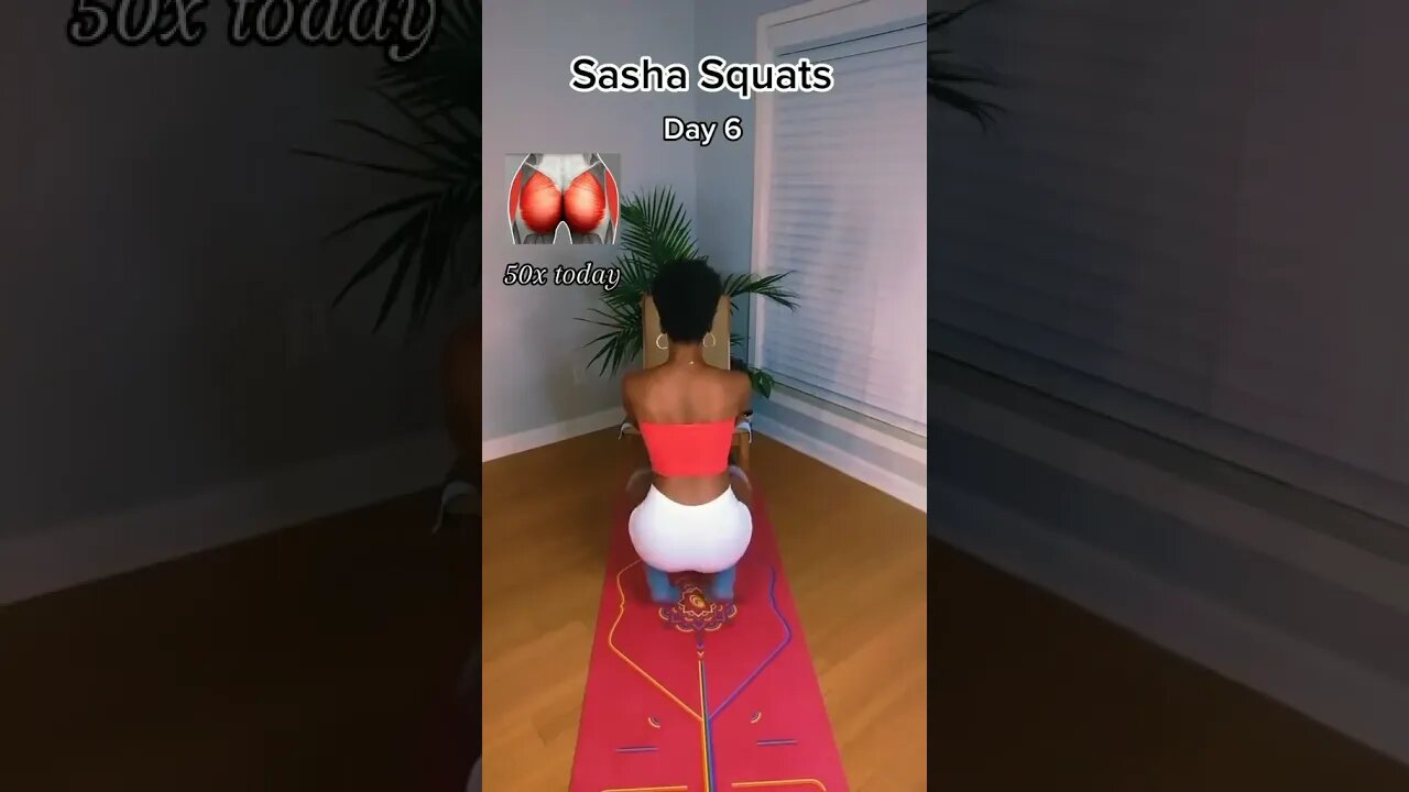 butt workout | sasha squats | 50×4 sets | #fitness #workout #shorts