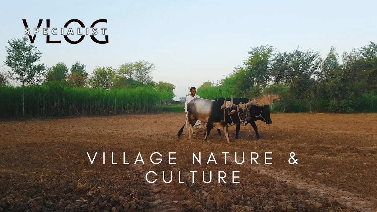 Village Nature and Culture | Village Visit | Vlog Specialist