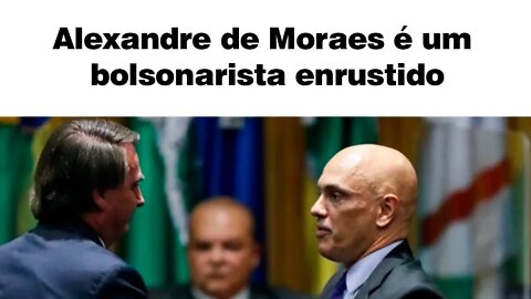 Alexandre de Moraes é um bolsonarista enrustido - por João Batista Olivi