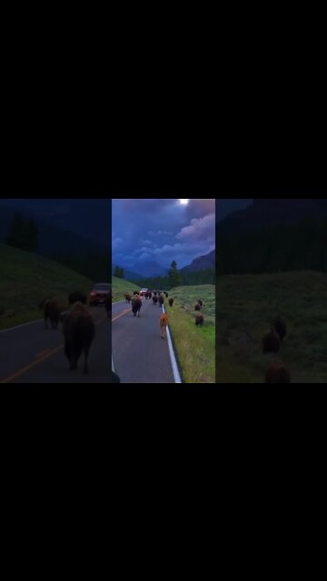 Relaxing music for stress relief, soothing music for meditation, healing therapy, deep sleep #shorts