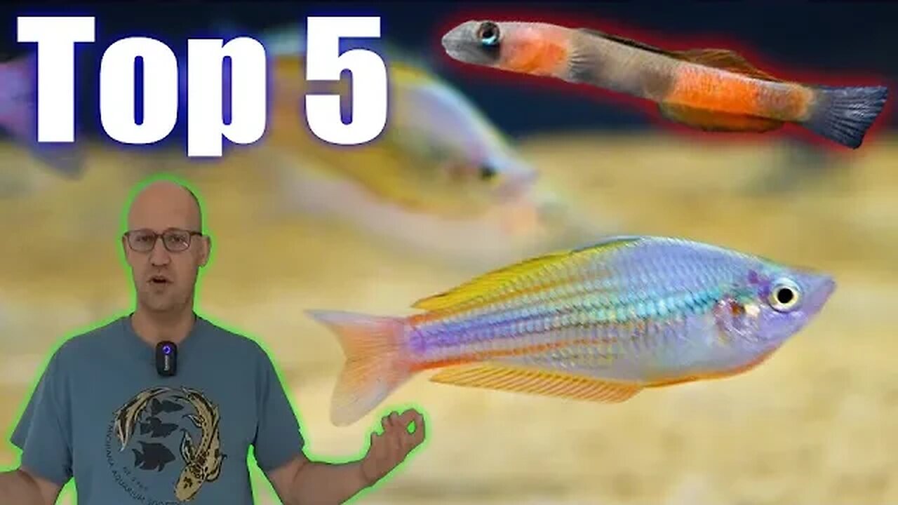 Dan Picks his Favorite Fish - Out of Thousands