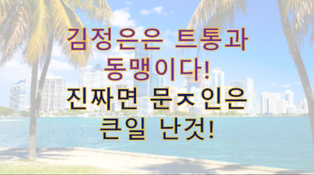 실시간 인텔) 김정은이 트럼프와 동맹이다? 그럼 저 간첩들은 포위된건가?