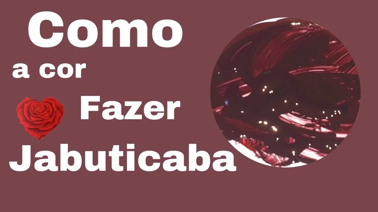 Como fazer a cor JABUTICABA mistura de cores [Dani pintura em tecido]