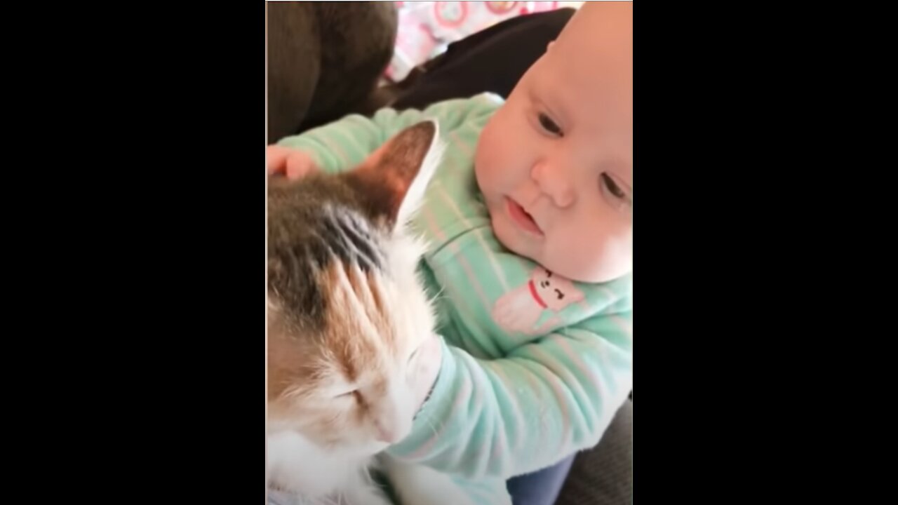 Hilarious interaction between cats and babies - so funny!