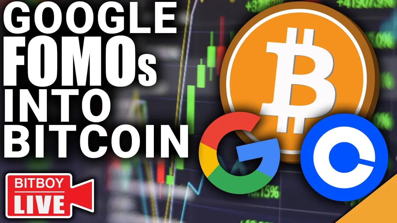 Google FOMOs into Bitcoin! (Should YOU Buy The Dip in 2023?)