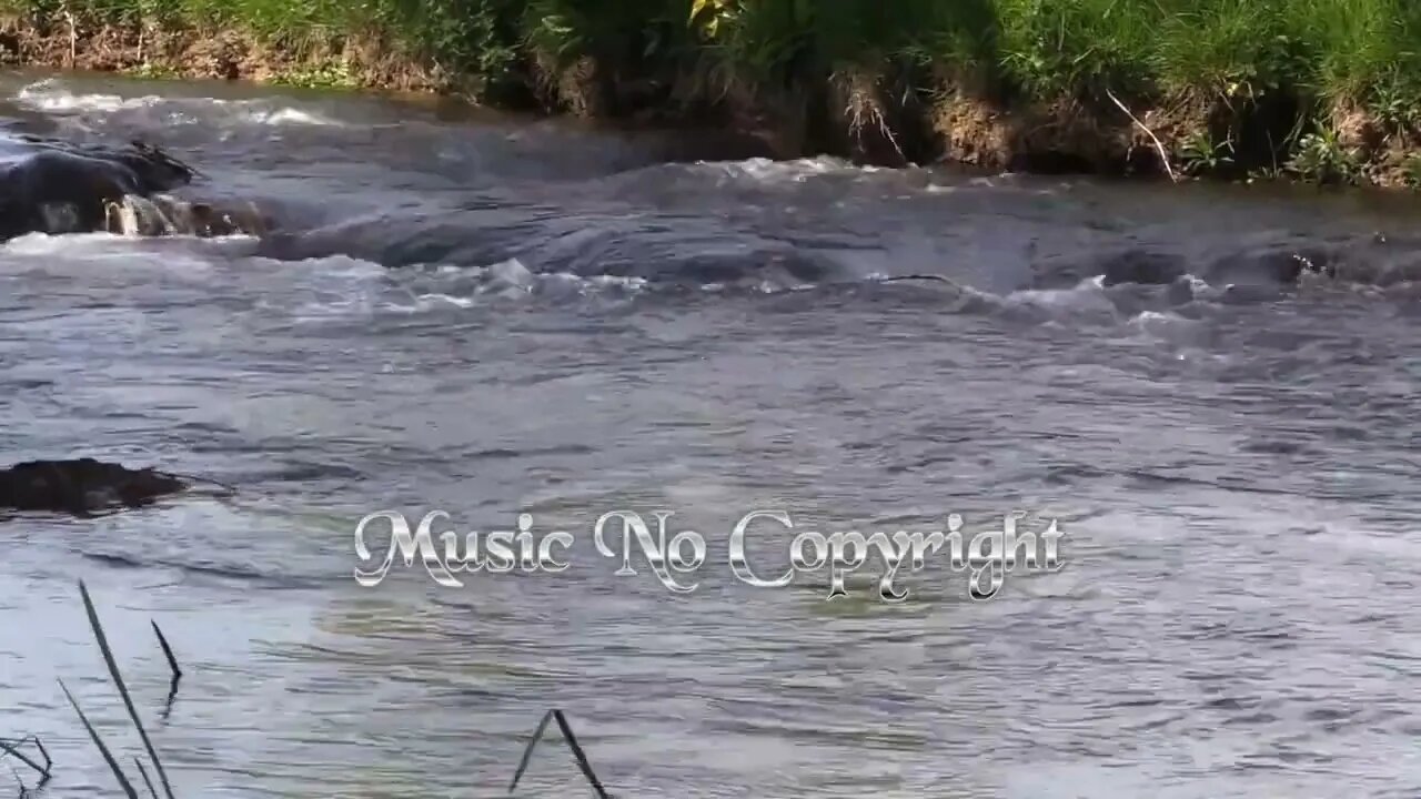 calm music 🌾🌾🌾 Relaxing Music 🌾🌾🌾 Piano Music