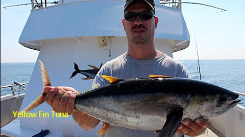 Tuna Fishing on the Atlantic Ocean near New Jersey