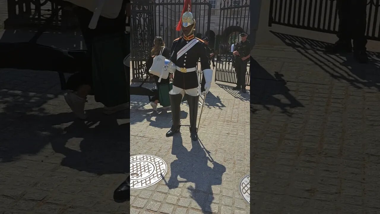 Me and my shadow #horseguardsparade