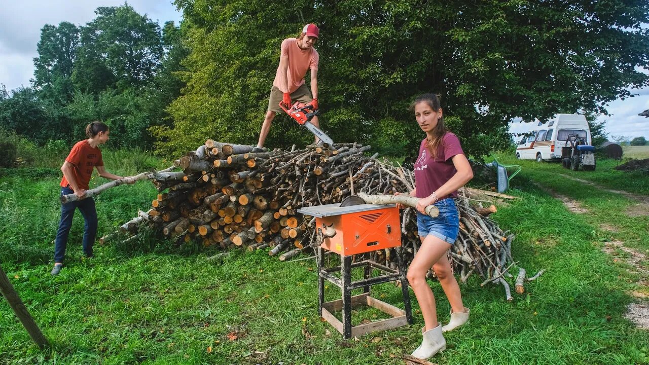 Processing the Logs into Firewood!?