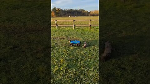 notorious over log