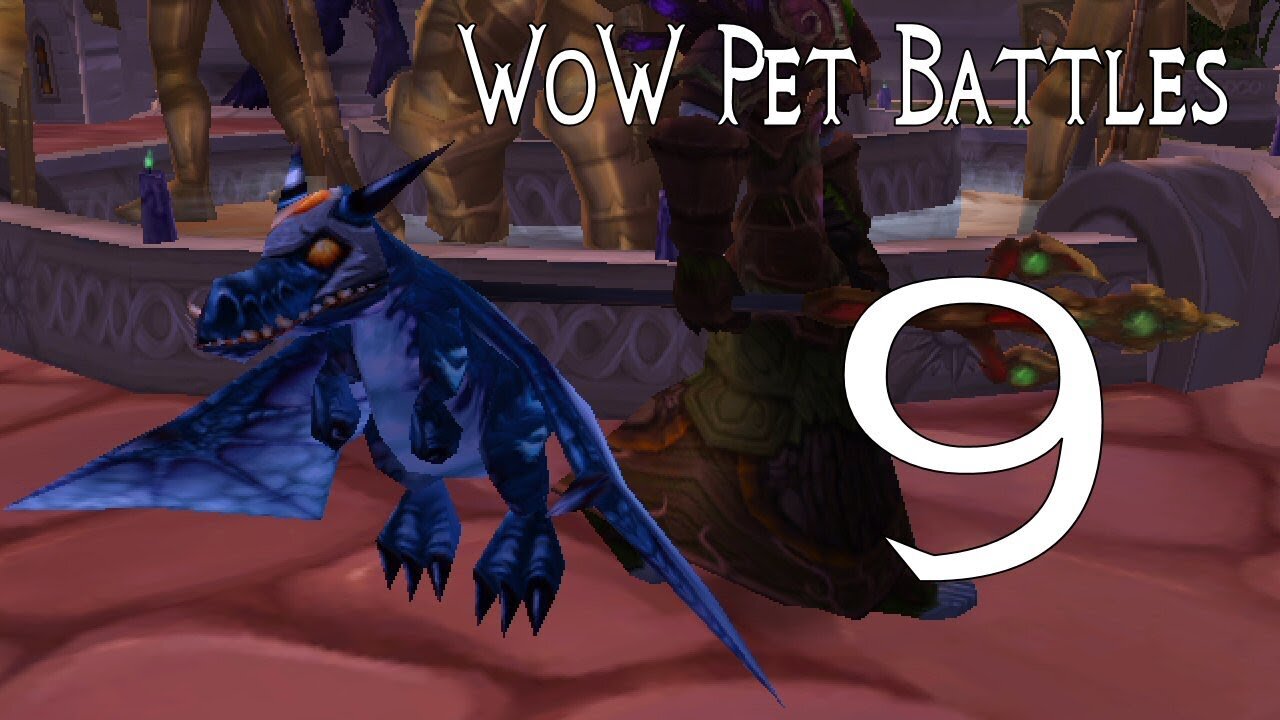 World of Warcraft Pet Battles 9 - Master Pet Trainers