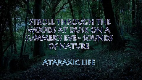 Sleep, Relax, Study, - Sounds of Nature - A Stroll through the Woods at Dusk on a Summer's Eve