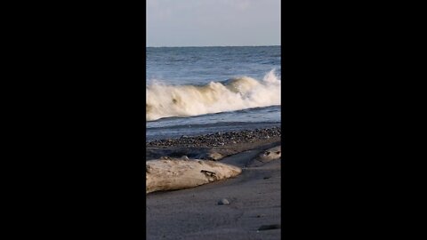 #shorts #beachsounds #waves