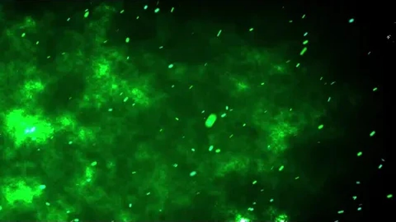 Sci fi Green Sky With Floating Particles Motion Graphics 4K UHD Copyright Free