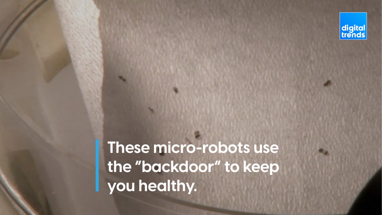 These micro-bots keep you healthy using the "backdoor".