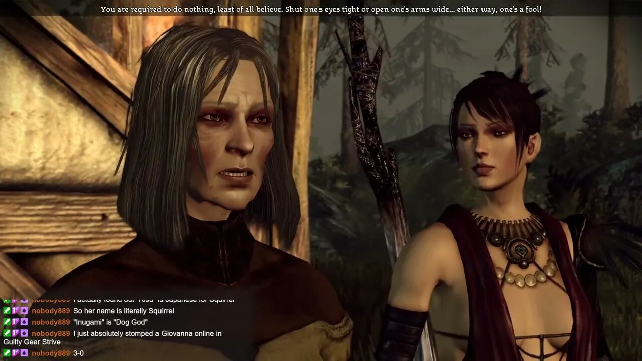 Dragon Age Origins - Witches of the Wilds