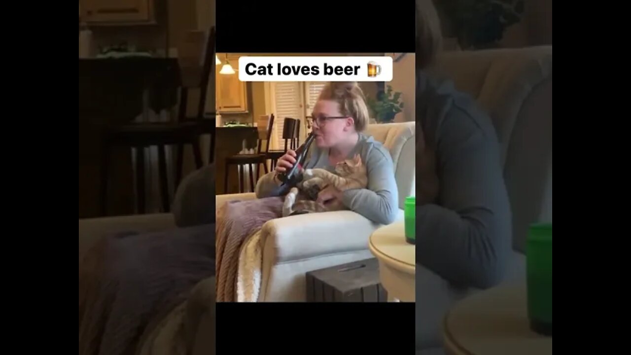 CAT LOVES BEER 🍺