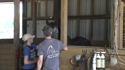 Horse sanctuary in Pleasant Lake is giving them a chance at a second life