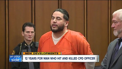Driver who killed police officer David Fahey in hit-skip sentenced to 12 years in prison