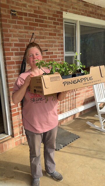 Setting up our Seedlings/Plants up for Success
