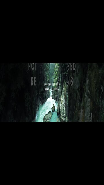 RANDOM FACTS! For The Curious Mind Vid #90 #Shorts #Facts #mindblowing #factsyouprobablydidntknow