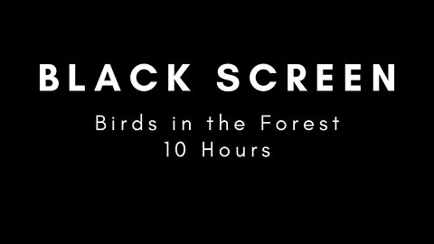 Calming Birds in the Forest l 10 hours l Focus and Relax