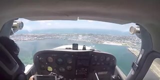 Shark Rescue by Airplane