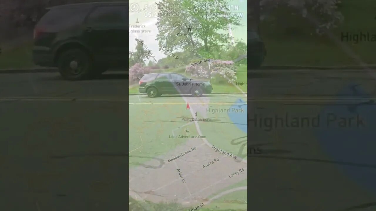 terrorizing pedestrians