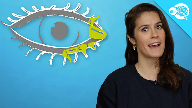 BrainStuff: What Are Eye Boogers?