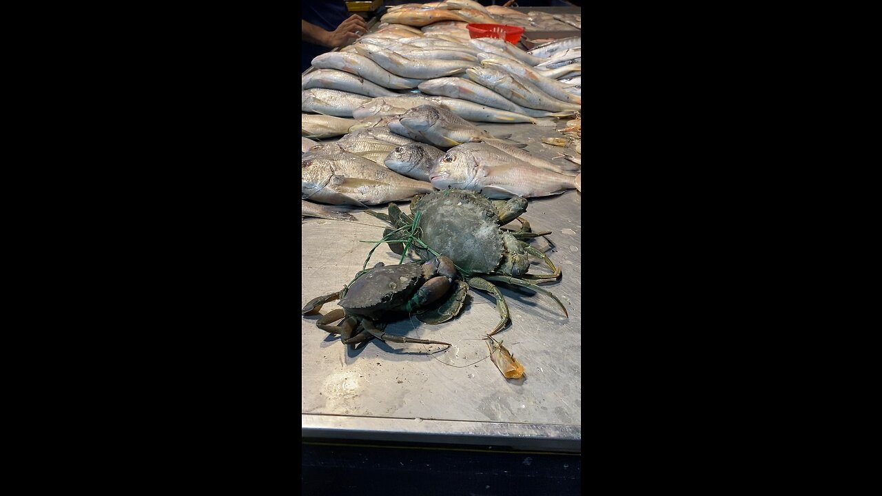 Say hello to crab 👋