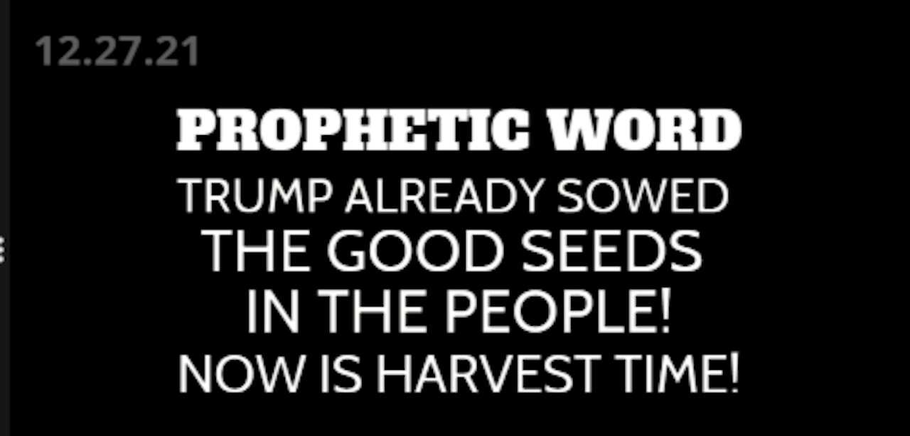 Prophetic Word: Trump Already Sowed The Good Seeds In The People! Now Is Harvest Time!