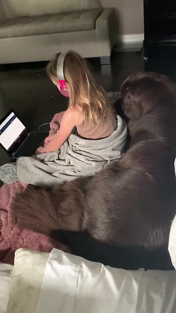 School closure brings little girl and her dog together