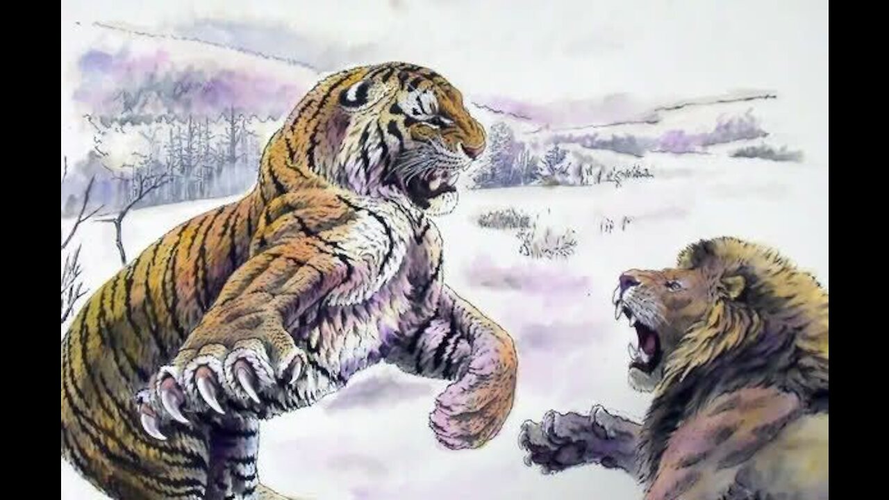 Lion VS Tiger - Who will win in a fight?