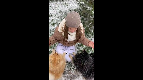 Heartwarming Reunion: Enthusiastic Dog Welcomes Owner Home!