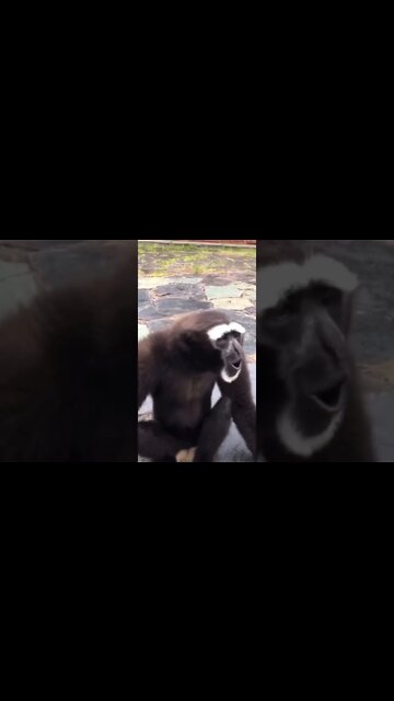 Most Amazing and trending video||relaxing your mind||trendig videos|| #shorts #trending #viral #live