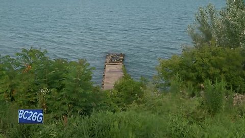 Future of king salmon uncertain in Great Lakes