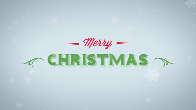 Merry Christmas Greeting Card #4