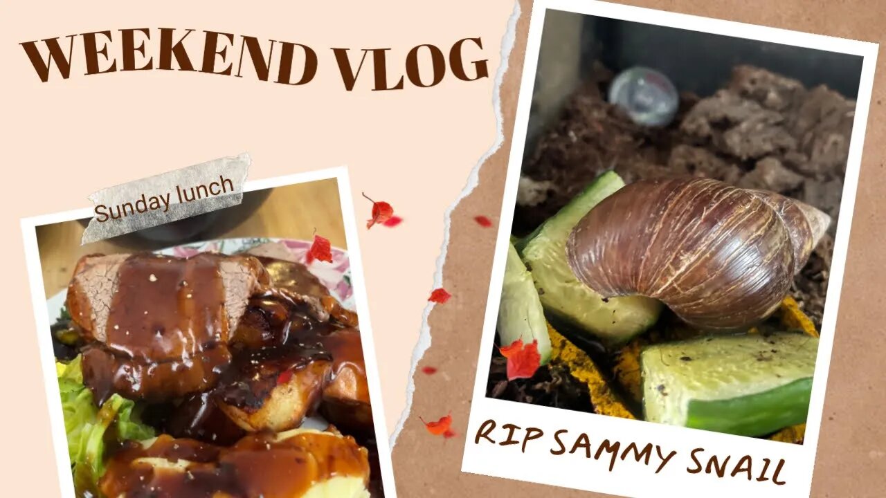 RIP Sammy Snail 🐌 | Roast Beef Dinner| WEEKEND VLOG