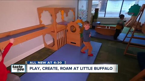 Play, create, and roam at Little Buffalo on Hertel Avenue
