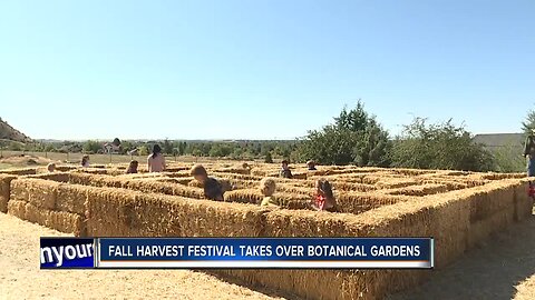 Fall Harvest Festival takes over Botanical Garden
