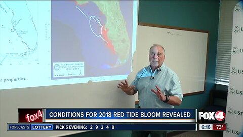 USF researchers discover red tide formation zone