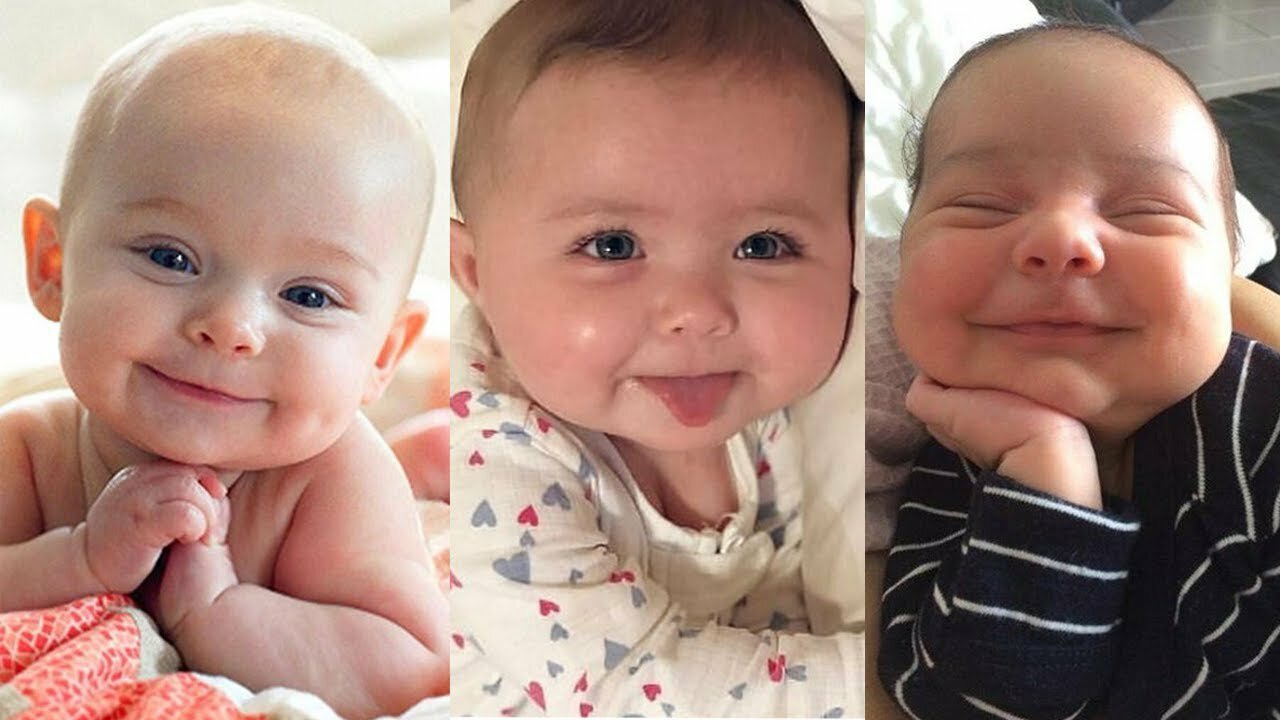 Cute chubby baby - Funny video