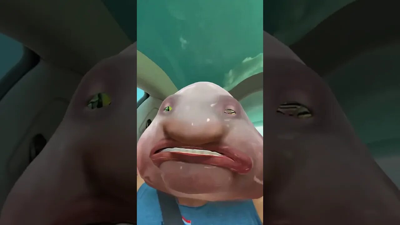 Blob fish freestyle